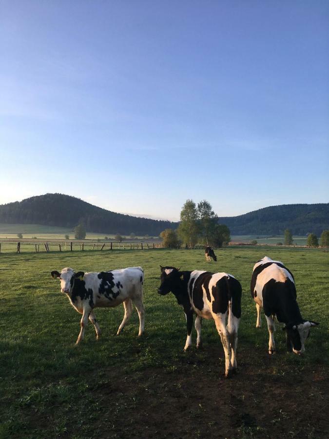 Siedem Lanow Villa Radkow Bagian luar foto